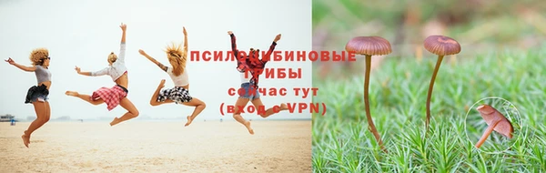 марки nbome Абаза