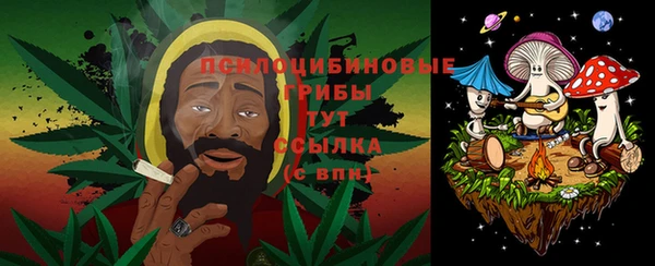 ПСИЛОЦИБИНОВЫЕ ГРИБЫ Абинск