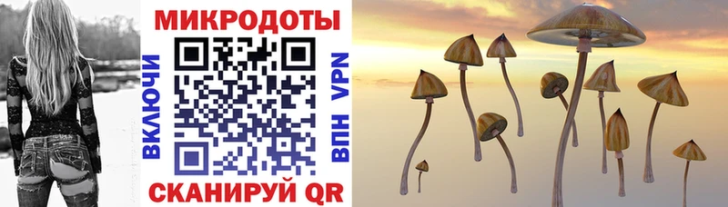 omg онион  Галич  Галлюциногенные грибы ЛСД 